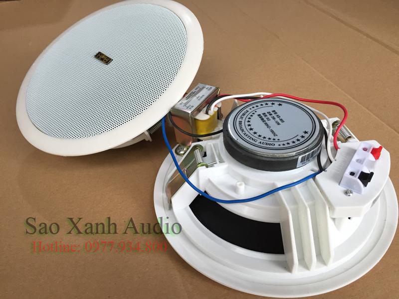 Loa âm trần APU KS805 chuyên dùng cho nghe nhạc tại Sao Xanh Audio